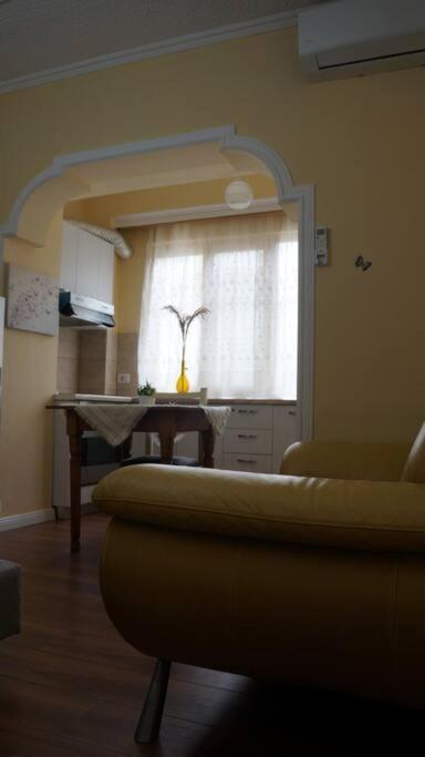 Alle'S M Shyri Studio Apartment Tiran Dış mekan fotoğraf