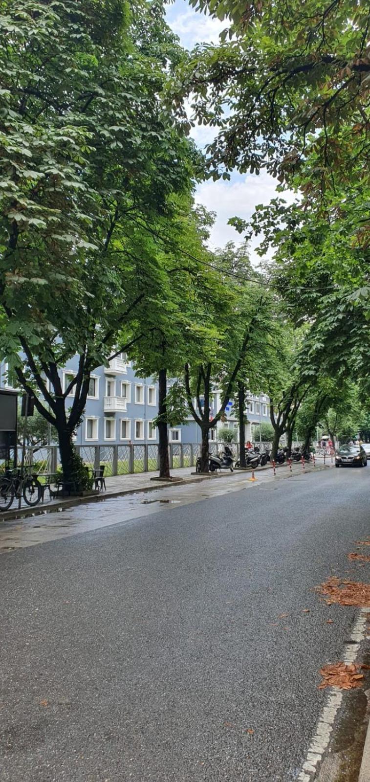 Alle'S M Shyri Studio Apartment Tiran Dış mekan fotoğraf